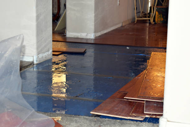 Professional Storm Water Damage Restoration technician working in Lower Salem, OH